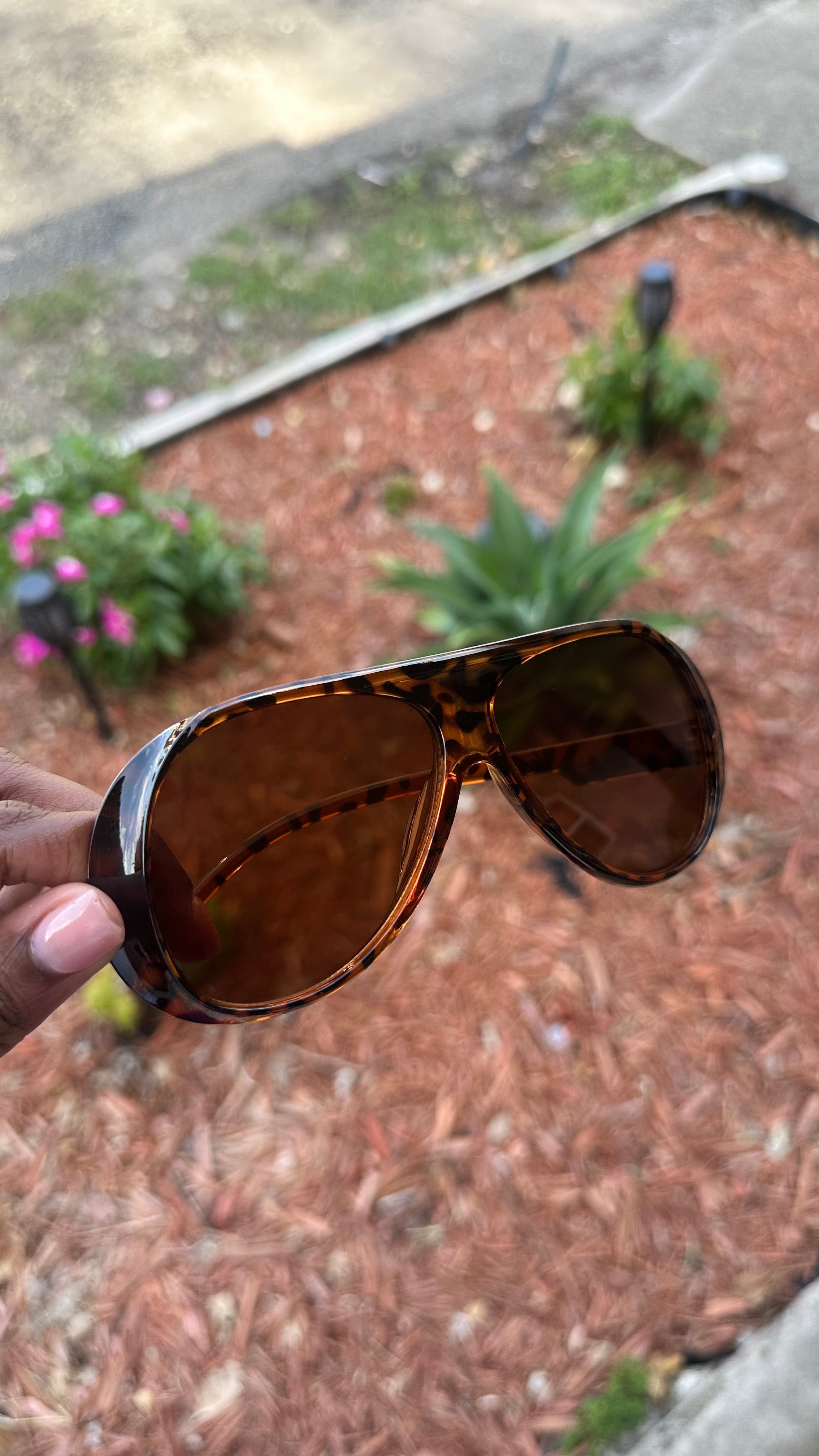 Cheetah print street masters